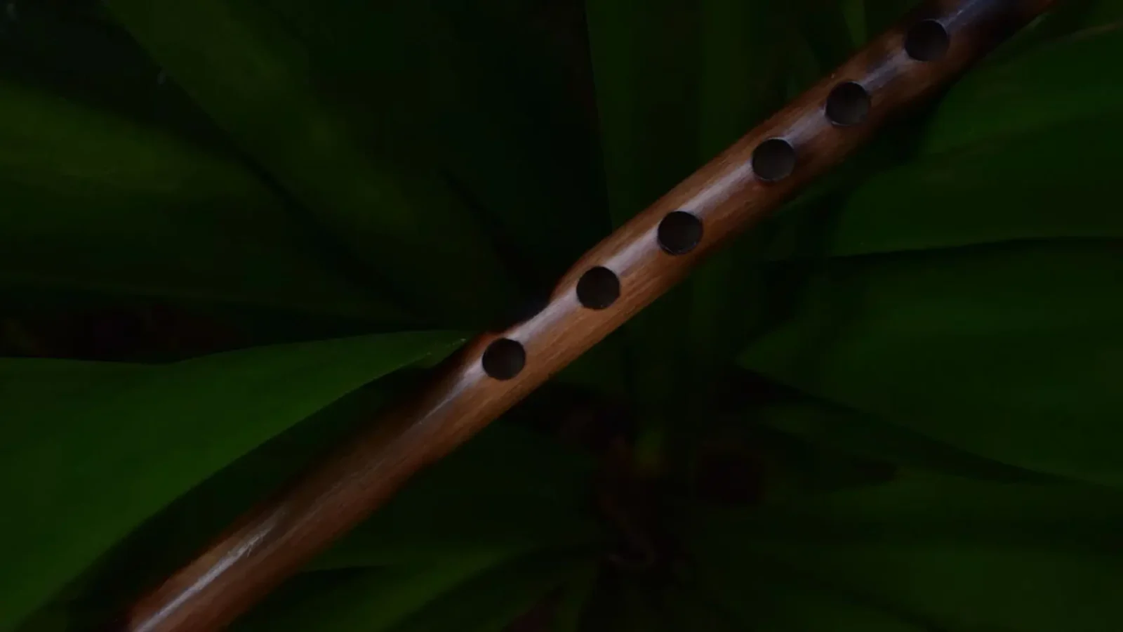 16. Cozy Flute Duets With The Queen