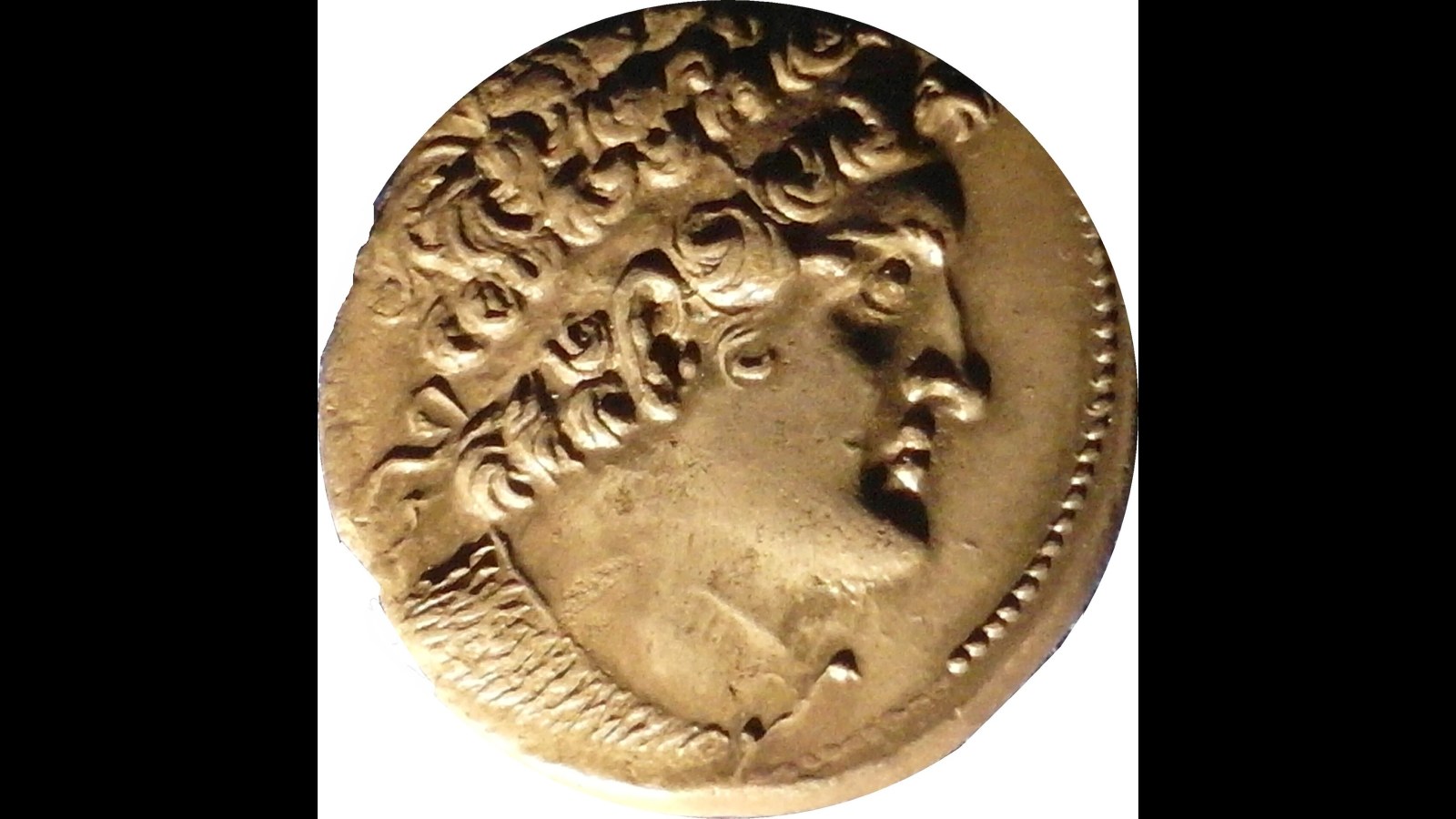 14. A King's Grudge Emptied The Library Of Scholars, Not Books