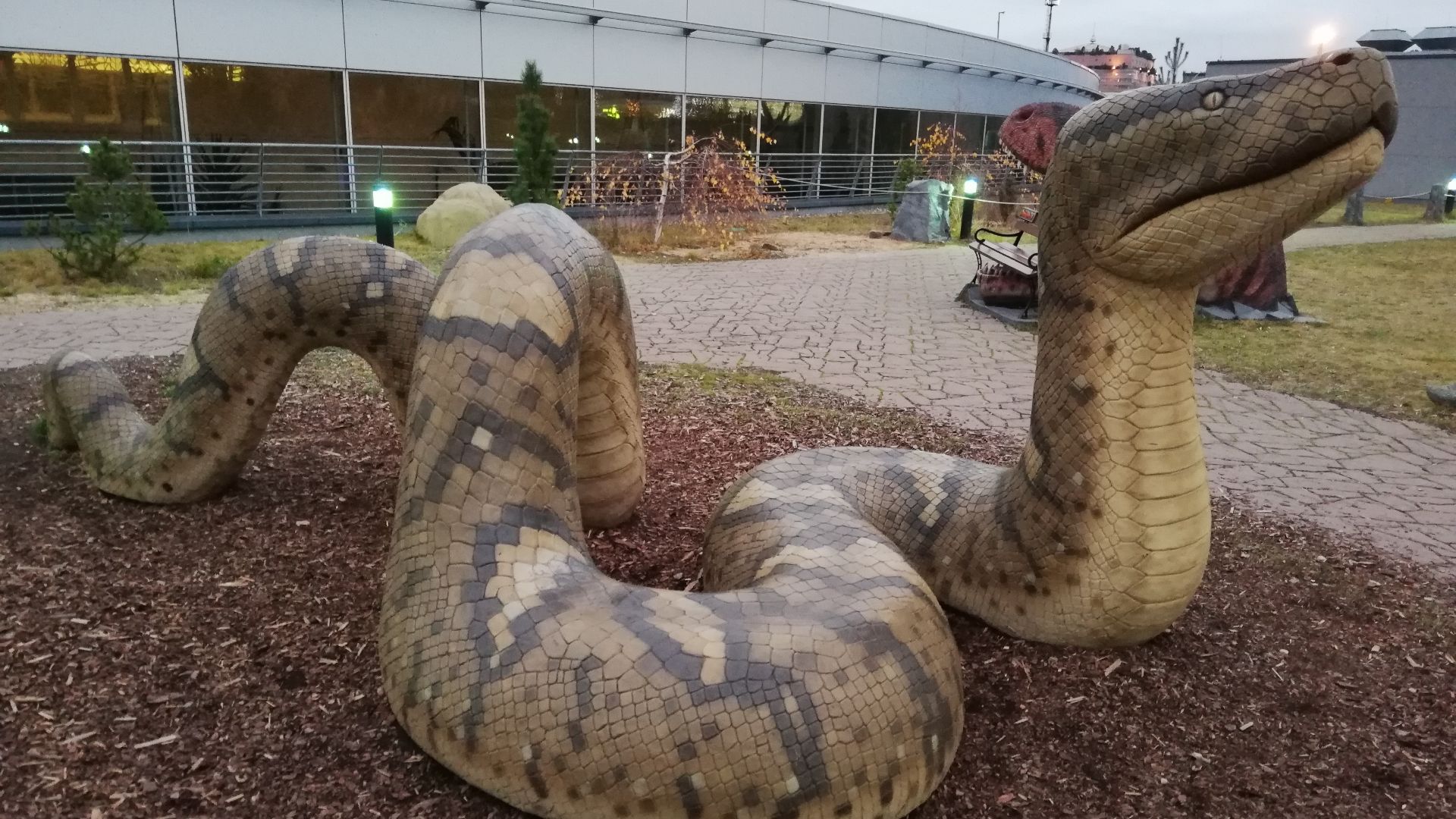 14. Un Titanoboa mesurait 42 pieds en Colombie