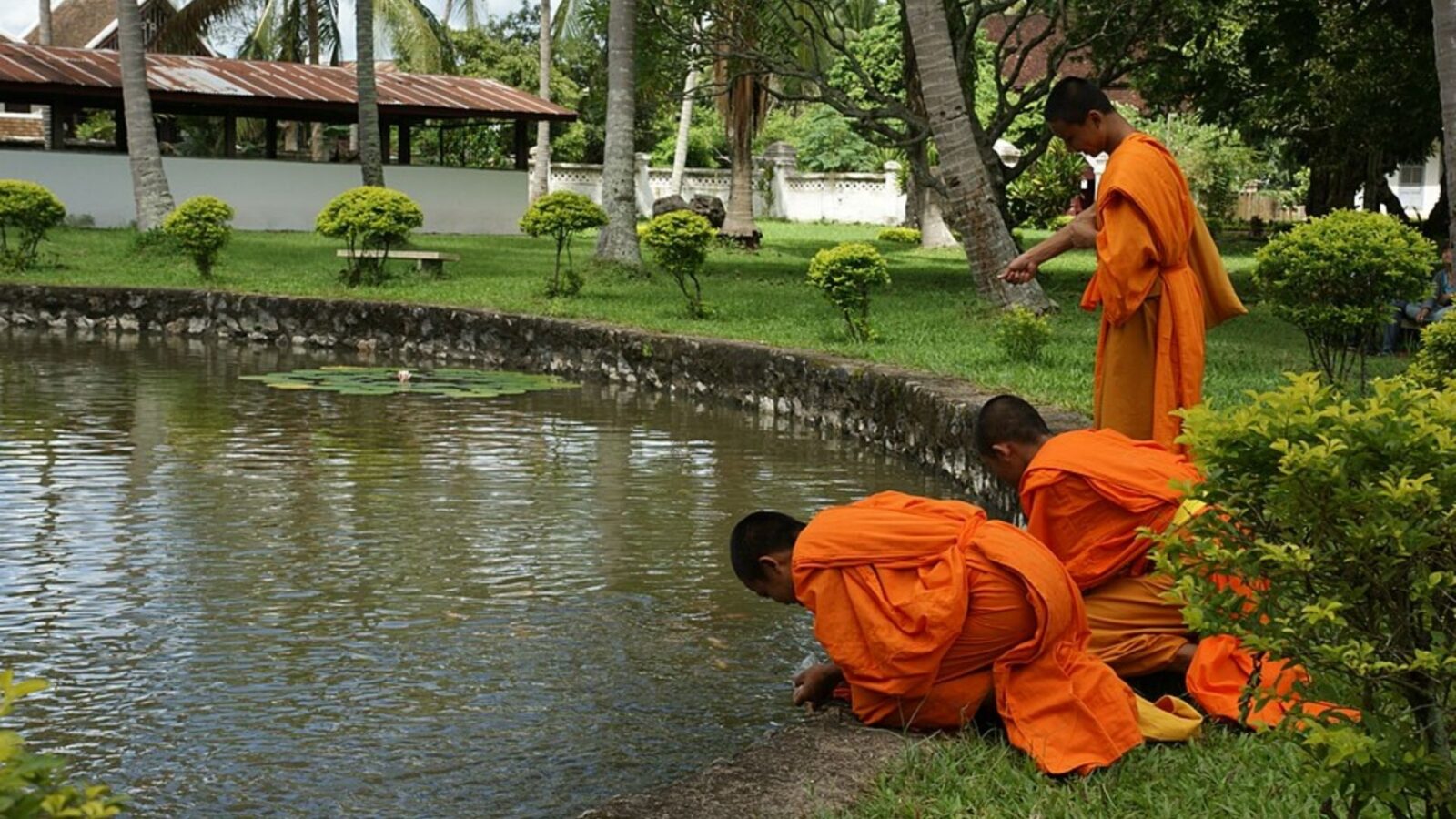 7. Carp Ponds Fed Monasteries Through 130 Fasting Days A Year