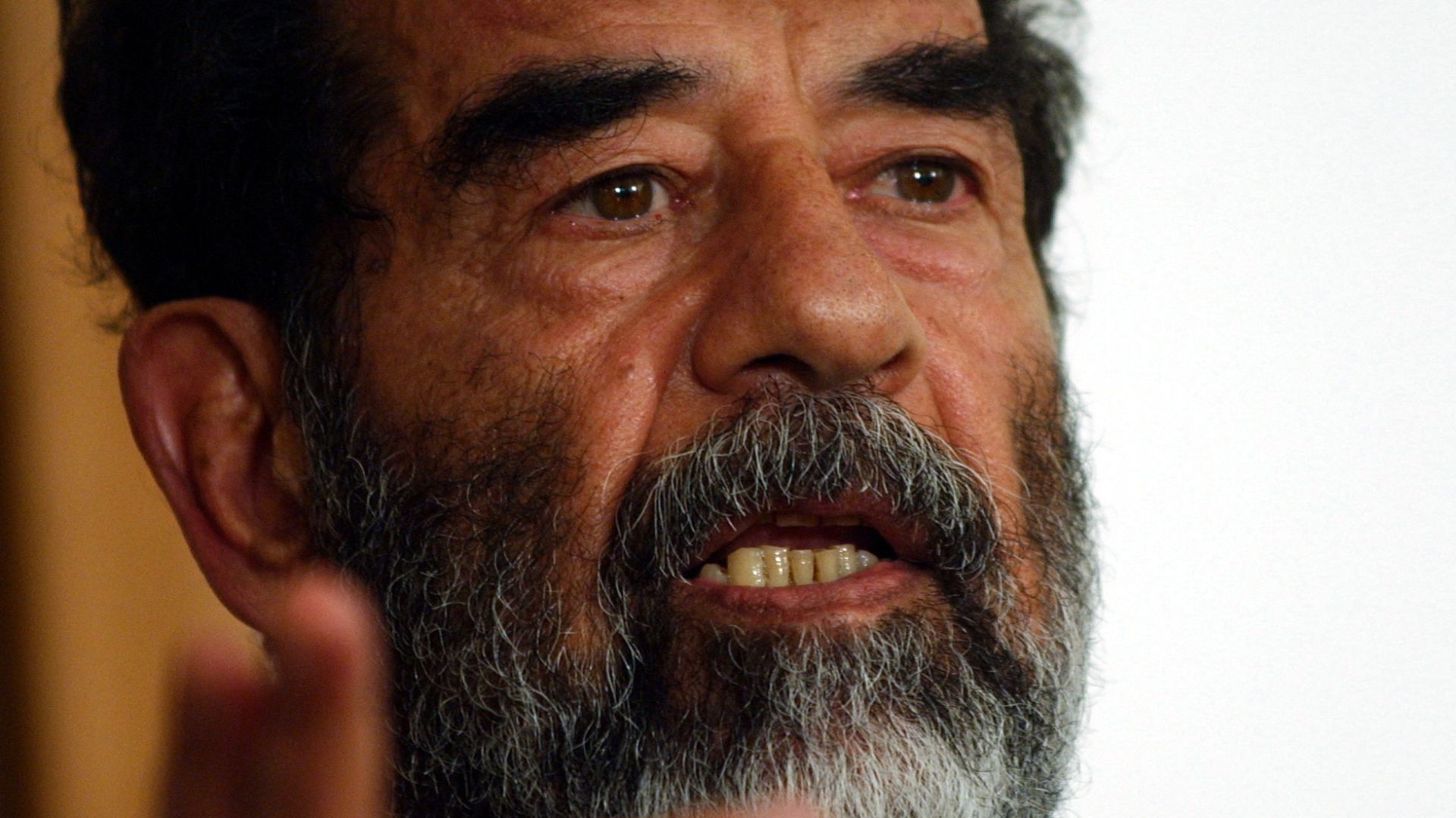 6. Saddam Hussein, romancier anonyme