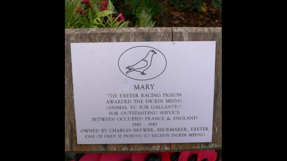 10. Mary d'Exeter a survécu aux attaques d'un faucon et a continué à voler