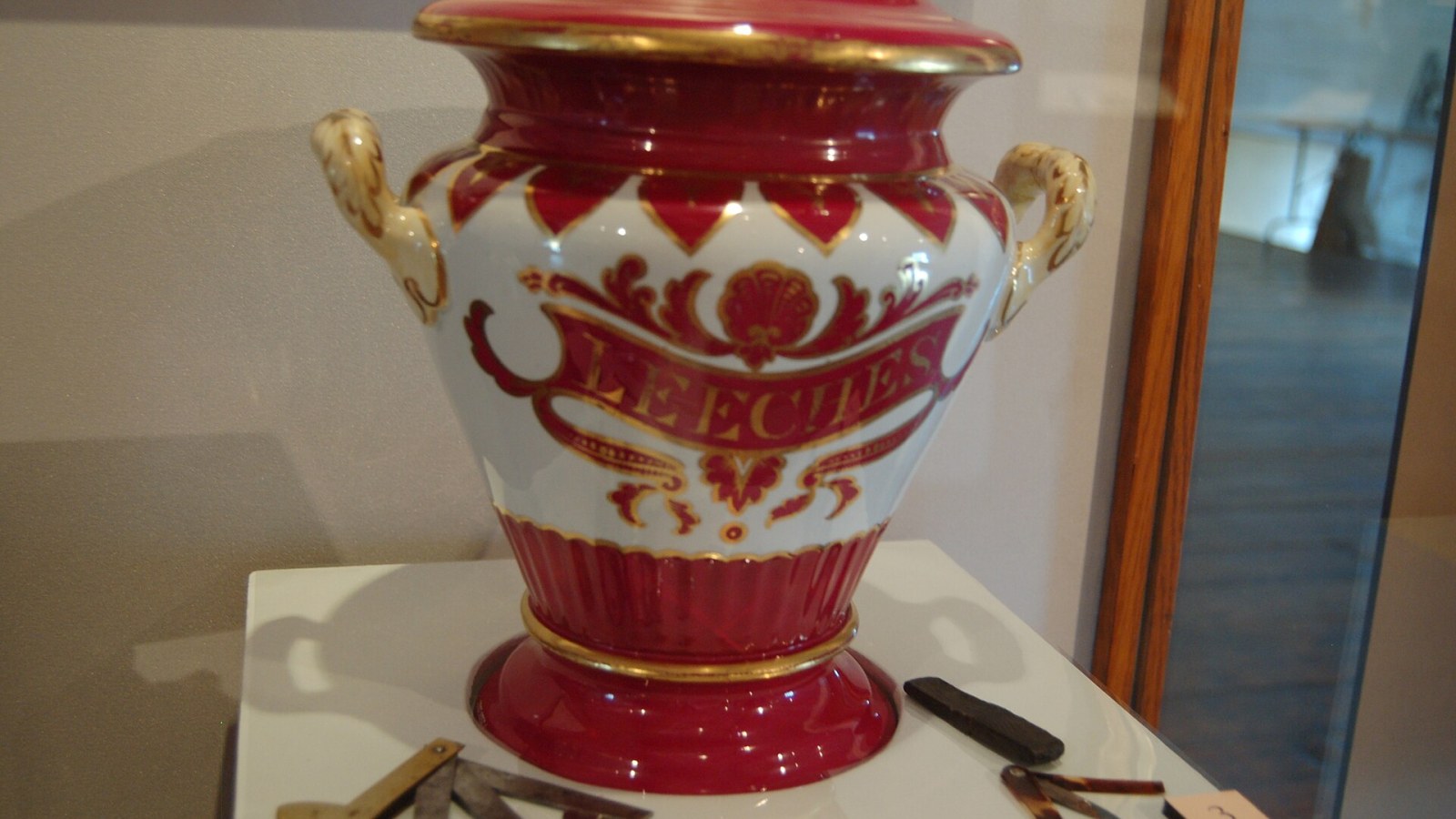 6. Apothecaries Kept Live Leeches On Hand For Bloodletting Patients