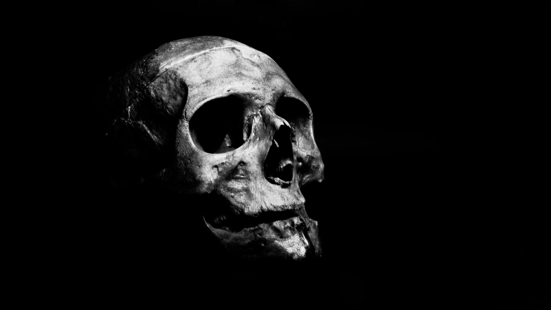7. Examiner les bosses sur le crâne d'une personne