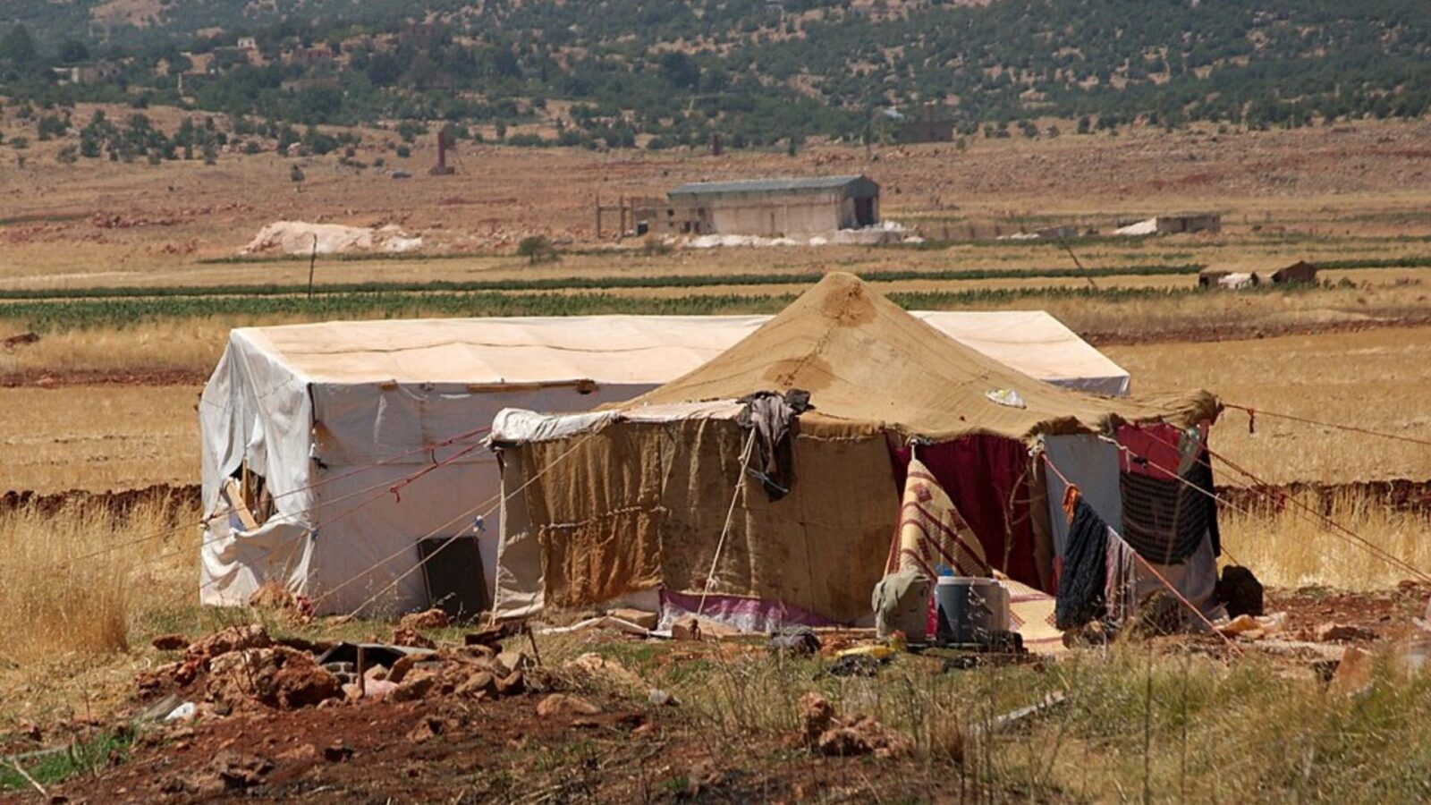 20. Farmhands Could Lose Their Home The Same Day They Lost Their Job
