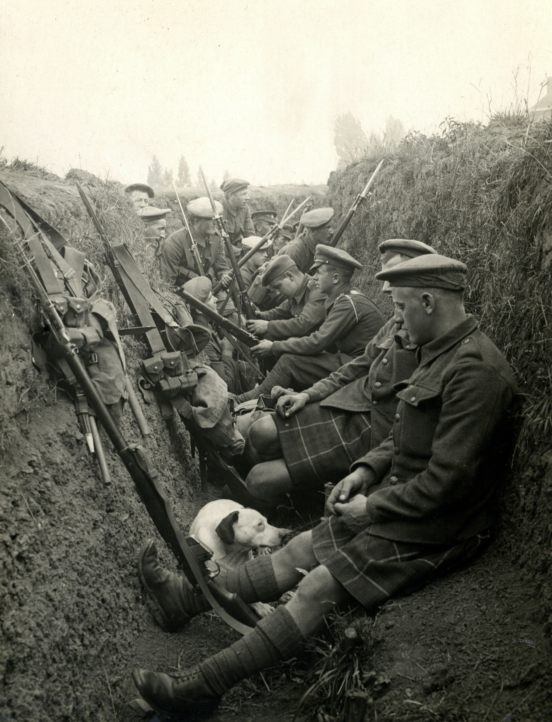 12. The Battle of the Somme