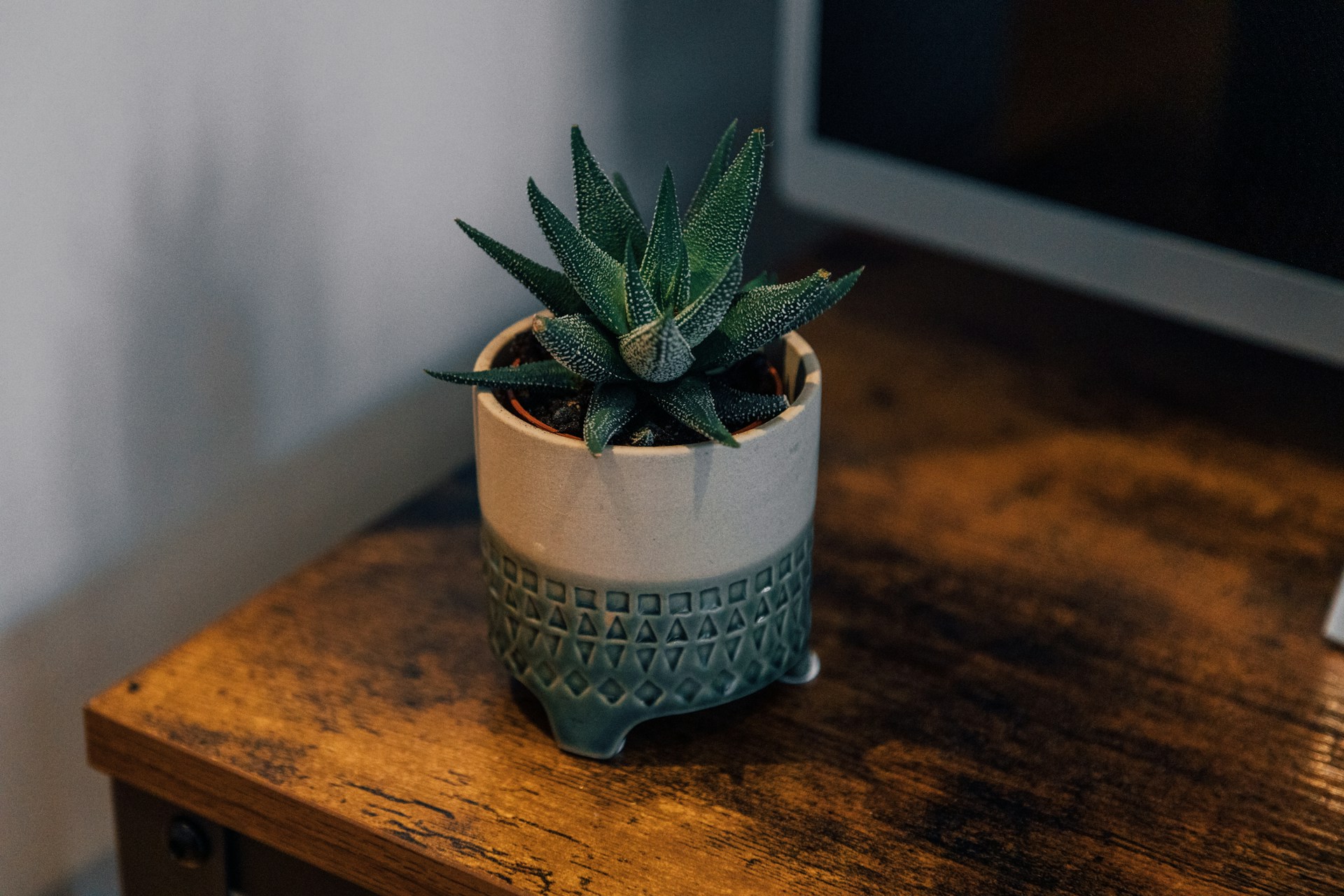 <strong>6. A stylish potted plant</strong>