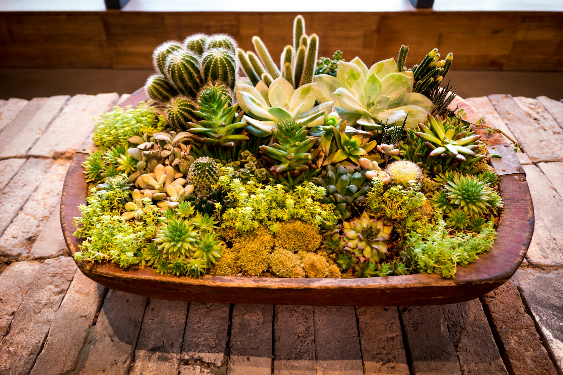 <strong>7. A decorative tray on a coffee table</strong>