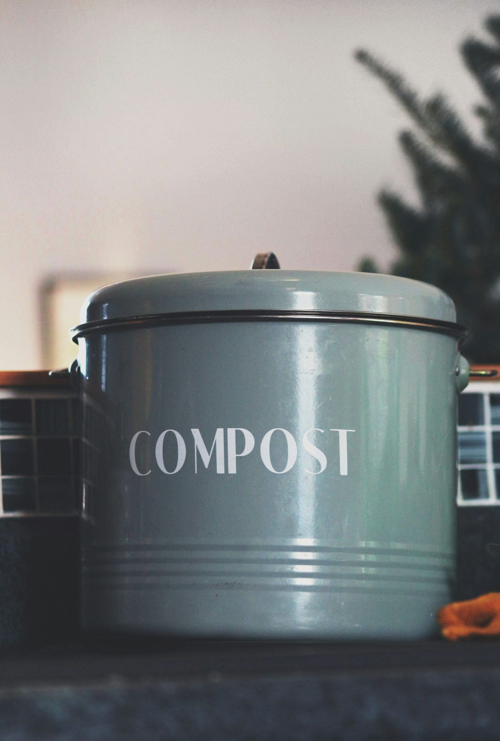 4. Compost your waste