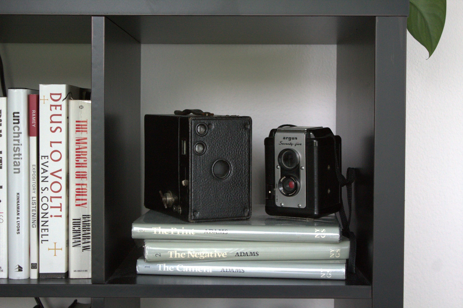 <strong>7. A film camera</strong>