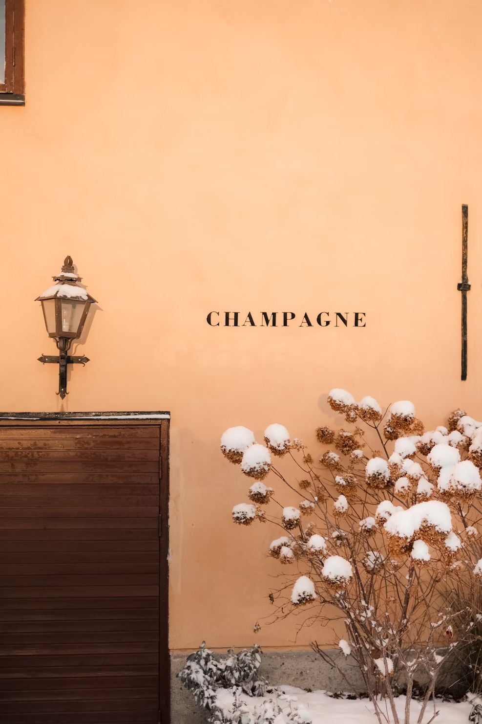 Champagne