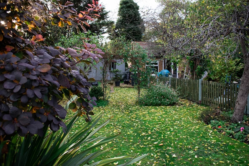 2. Tree planting