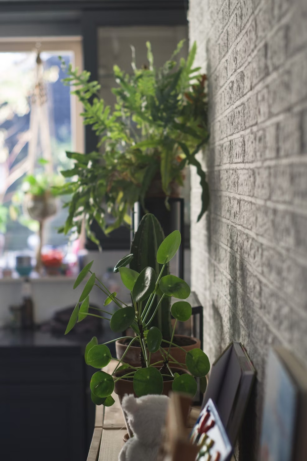 A plant-based composition