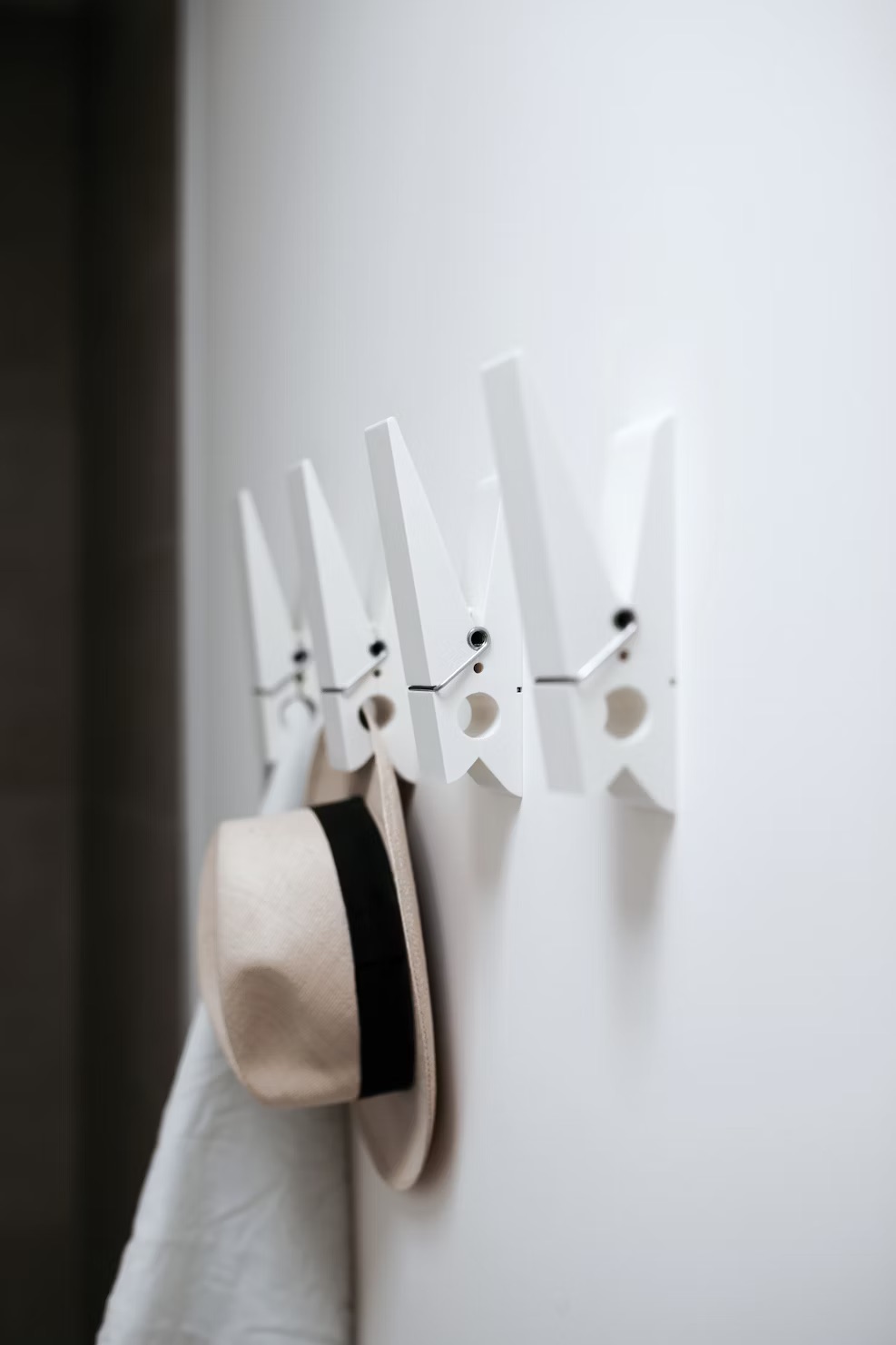Colorful coat hooks