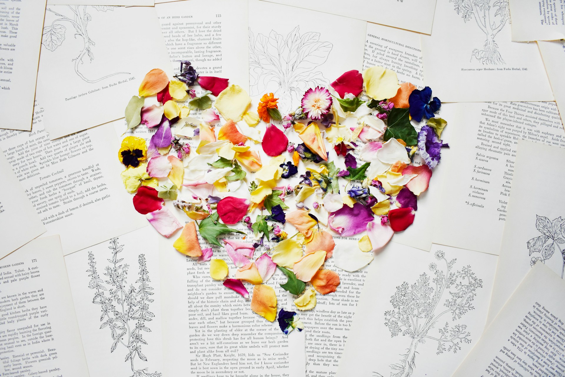 2. The emotional heart