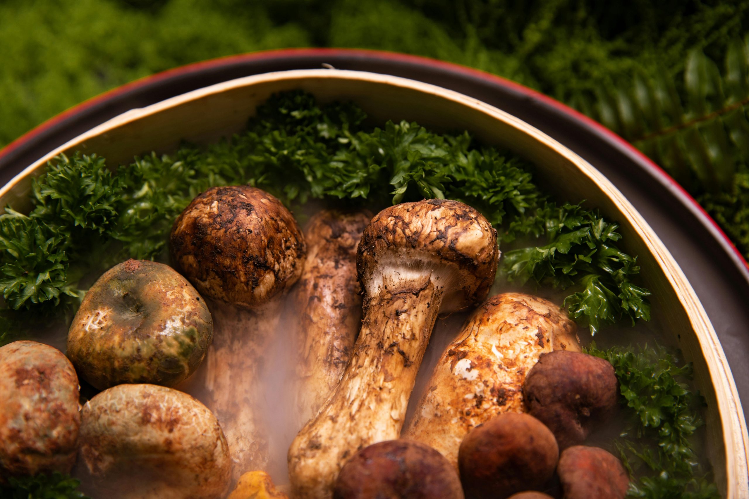7. The Matsutake mushroom