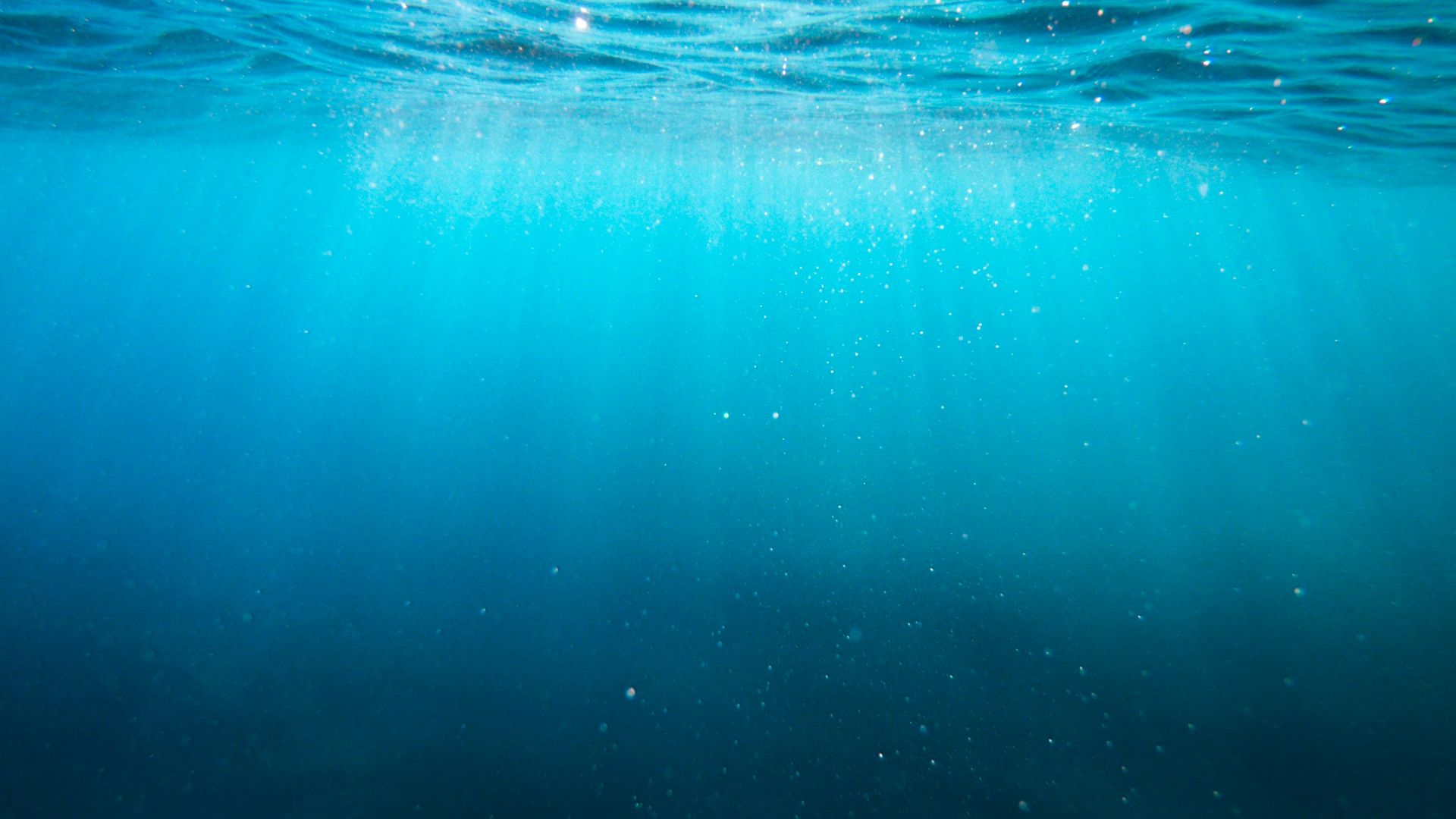 4. Subnautica