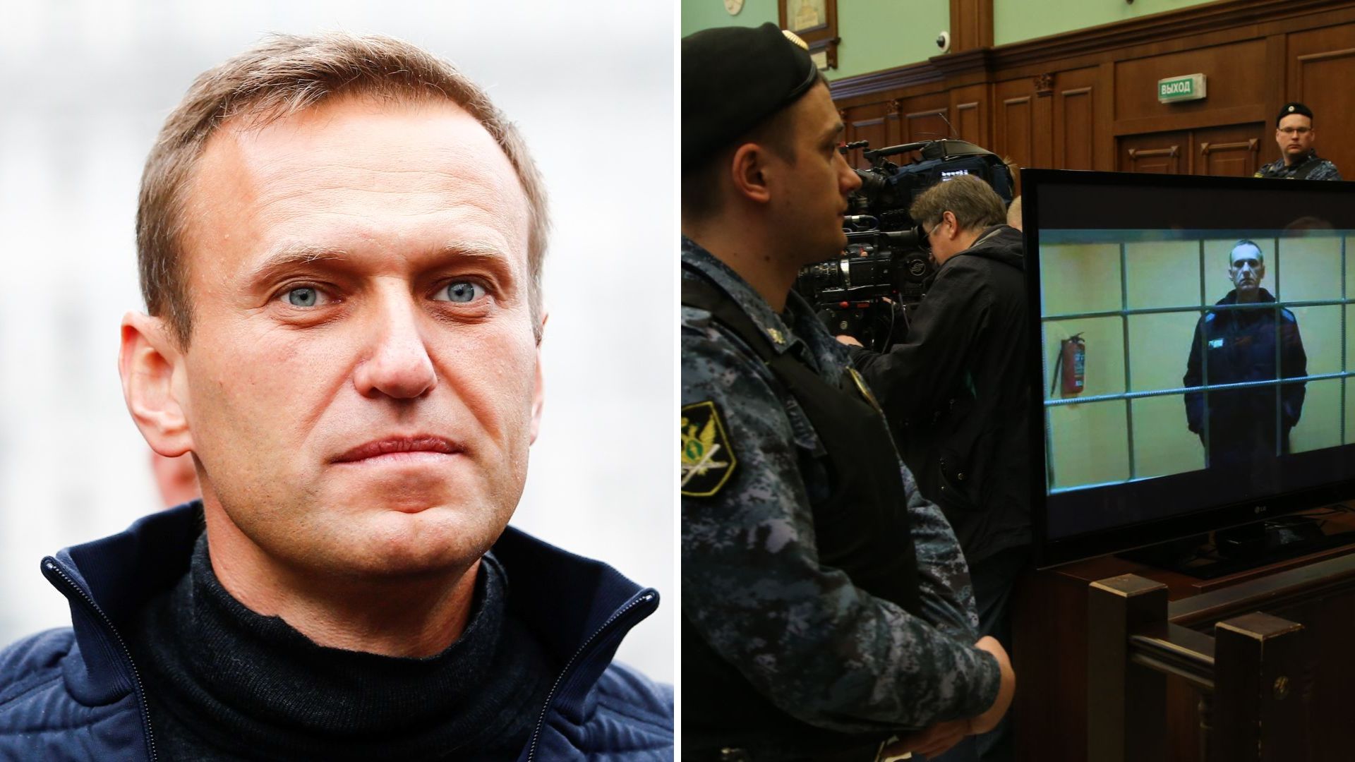 Alexei Navalny est mort d’une intoxication par la toxine d’une grenouille venimeuse, selon cinq pays