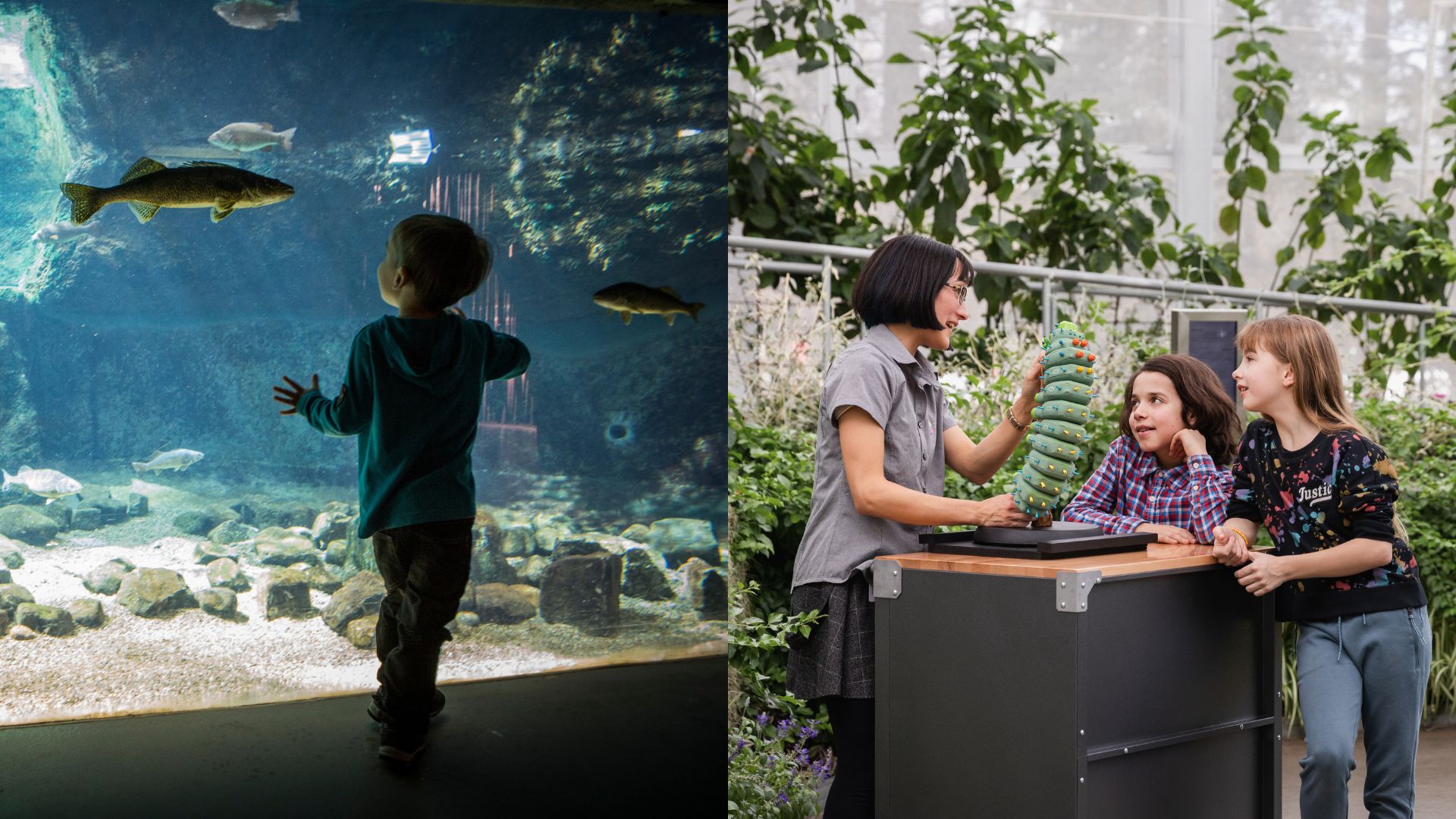 5 immersive museums in Montreal to marvel at during spring break