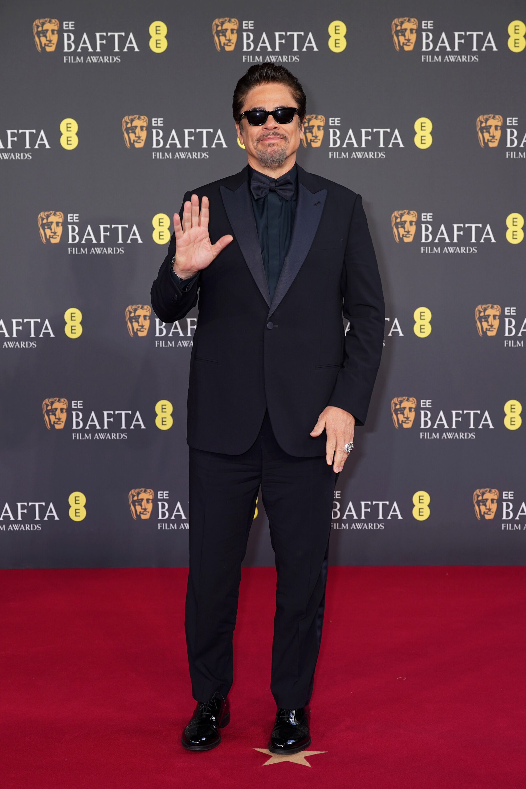 Benicio Del Toro